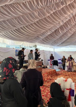 WhatsApp Image 2026-02-08 at 6.41.03 PM